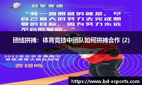 半岛电竞官方正版