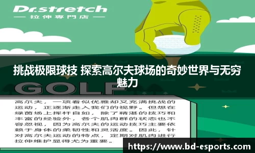 半岛电竞官方正版